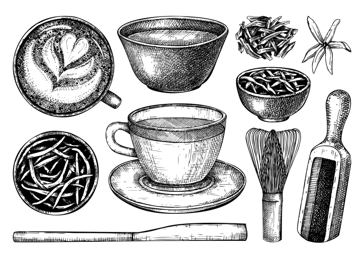 Hand-sketched green and white tea mug illustrations. Vector sketches of hot drink in an glass teacups, dried leaves, jasmine blossoms drawings isolated on white